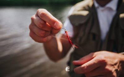 Od czego zależy ile kosztuje moneta z rybakiem?